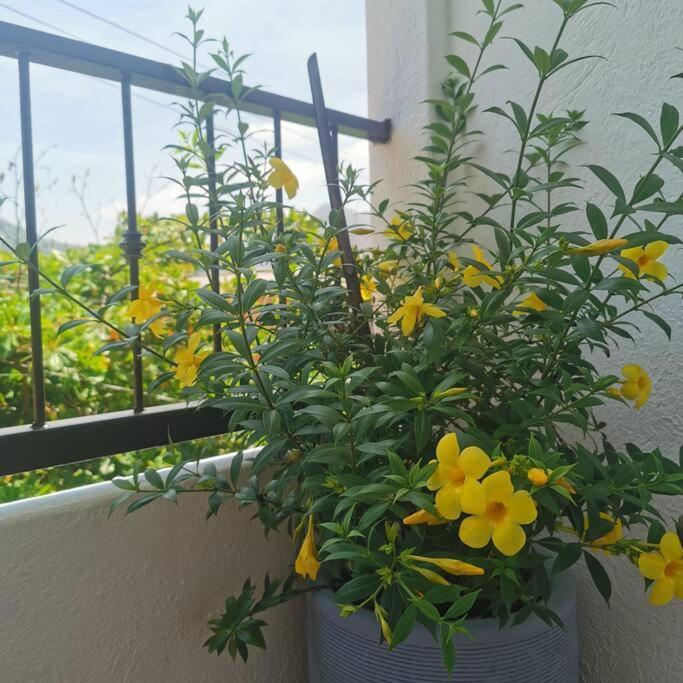 1 Bedroom Apt With Ac , Tv , Wi-Fi Near Dt And Beach Zihuatanejo Esterno foto